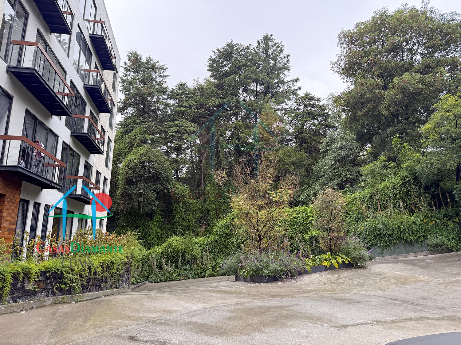 Acanto Ecos del Bosque - Acceso 3 Acanto Ecos del Bosque - Acceso 3